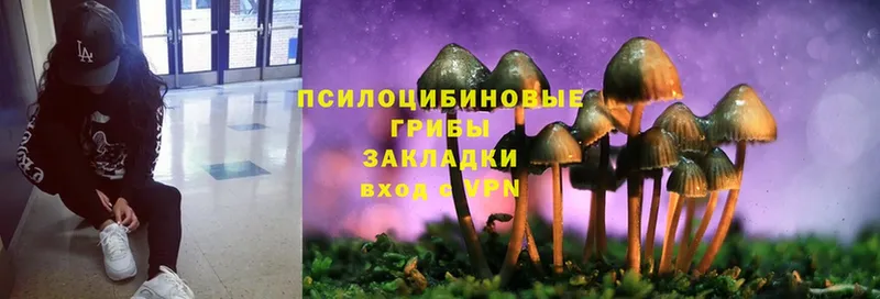 Галлюциногенные грибы Psilocybe  hydra зеркало  Заволжск 